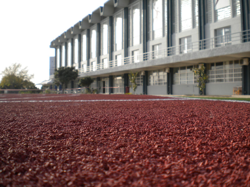 CONSTRUCTION OF A RUBBER MAT IN THE GYM OF THE AUTH