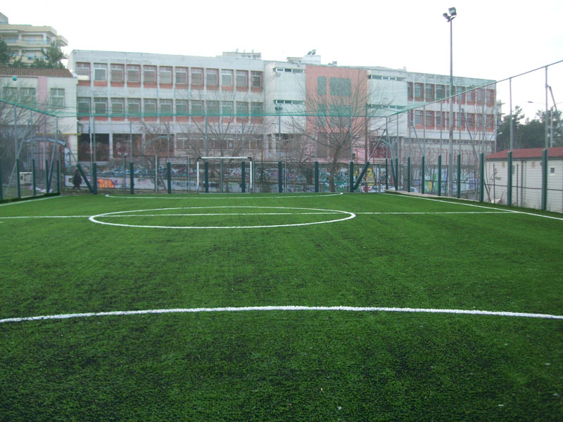 REPLACEMENT OF THE LAWN IN THE 1ST MINI FOOTBALL COURT OF THE MUNICIPALITY OF NEAPOLI